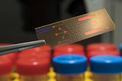 In Vitro Diagnostics Finds Application in Diagnosis of Diseases through Medical Tests Performed On Samples of Tissue or Blood