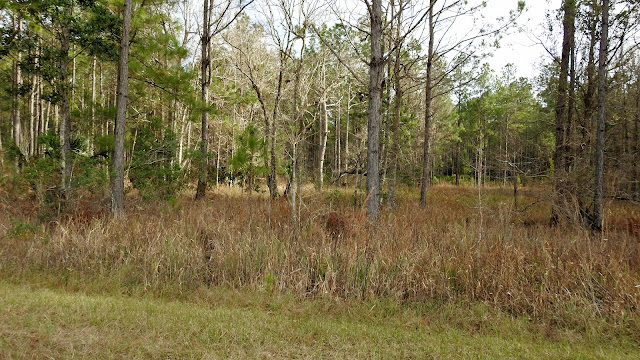 Rice Creek Conservation Area