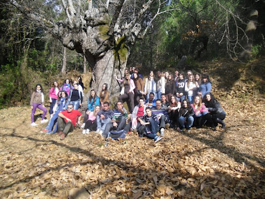 Excursión al campo