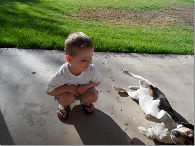 SAM_0252