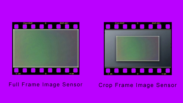 Image Sensor