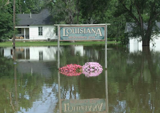  Was The Historic Flooding In Louisiana Caused By Climate Change? 