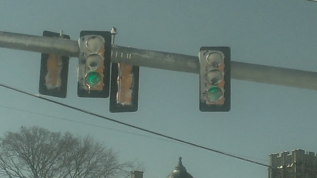 green light red light