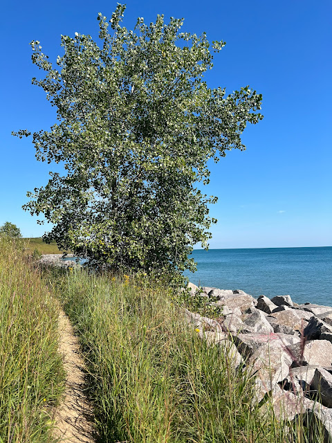 A sandy trail skirted the bottom edge of the bluff at Bender Park leading me through tall grasses with a rocky coastal Lake Michigan view.