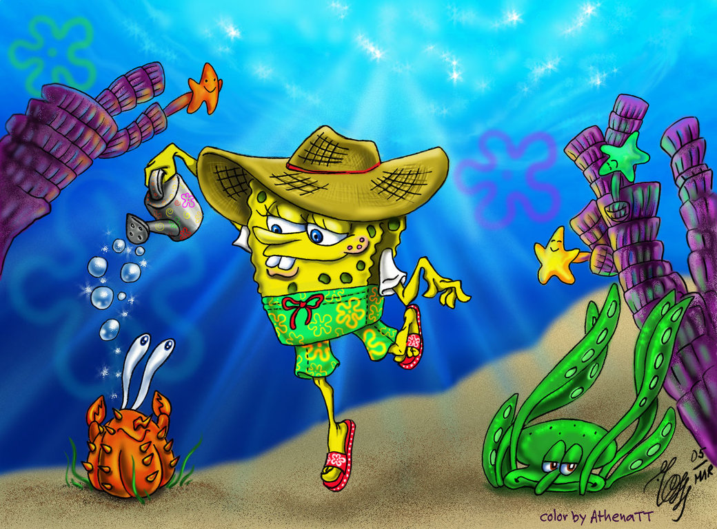  Gambar  Lucu Bergerak Spongebob  Terbaru Display Picture Unik