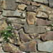 View album