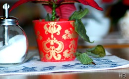 Welker Weihnachtsstern © H. Brune