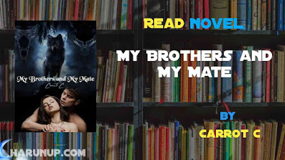 Read My Brothers and My Mate Novel Full Episode