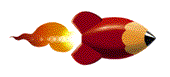 flamingpenicillin