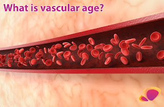 What is vascular age?