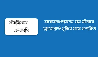 সালোকসংশ্লেষণের হার কীভাবে ক্লোরোপ্লাস্ট সৃষ্টির সাথে সম্পর্কিত ব্যাখ্যা করো