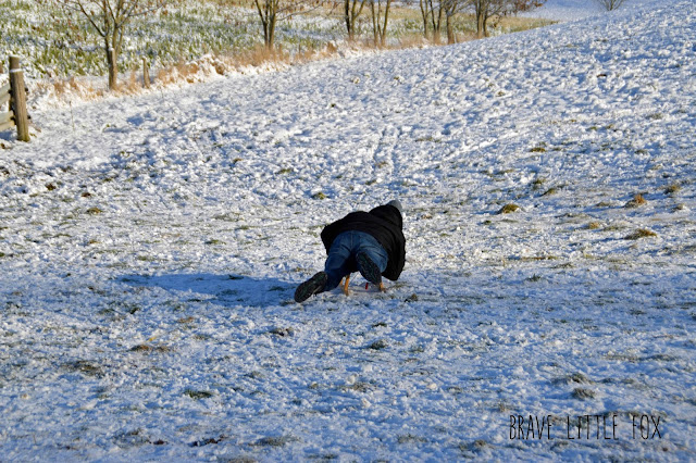 Schlitten fahren