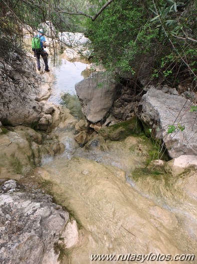 Barranco del Arroyo del Pajaruco