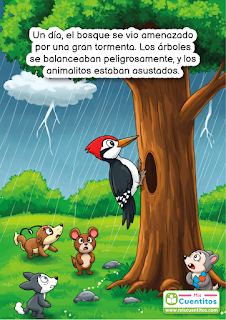 Cuento - El pájaro carpintero - Mis Cuentitos 9