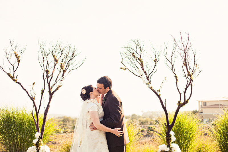 used Manzanita trees as our wedding arch and branches wedding branches