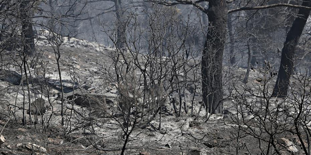 Στο φως νέα στοιχεία για τη «Μαύρη Δευτέρα»