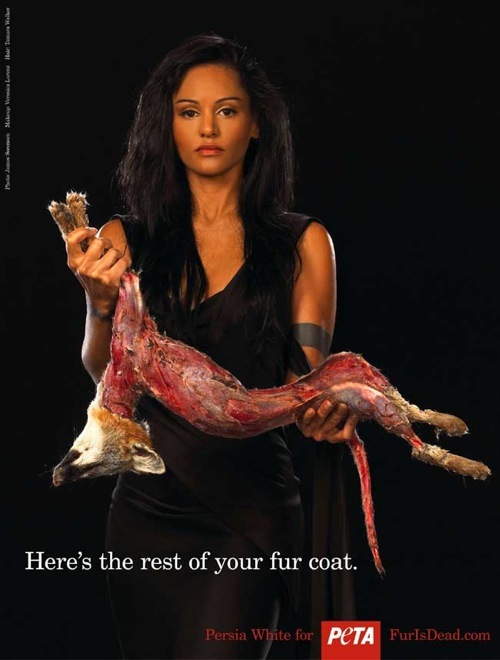 peta (25)