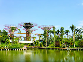 Gardens by the Bay at Marina Bay Singapore