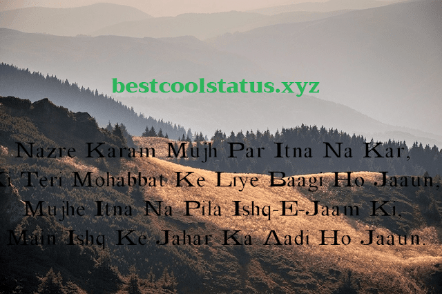 Latest Shayari For Love, True Love Status & Quotes, Love Images