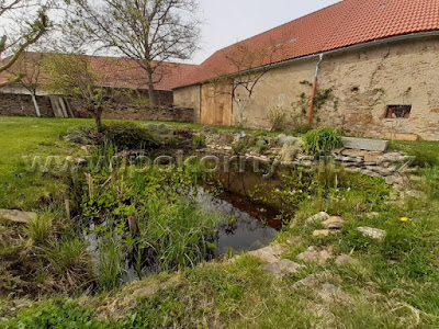 Schwimmteich, Badeteich, Gartenteich