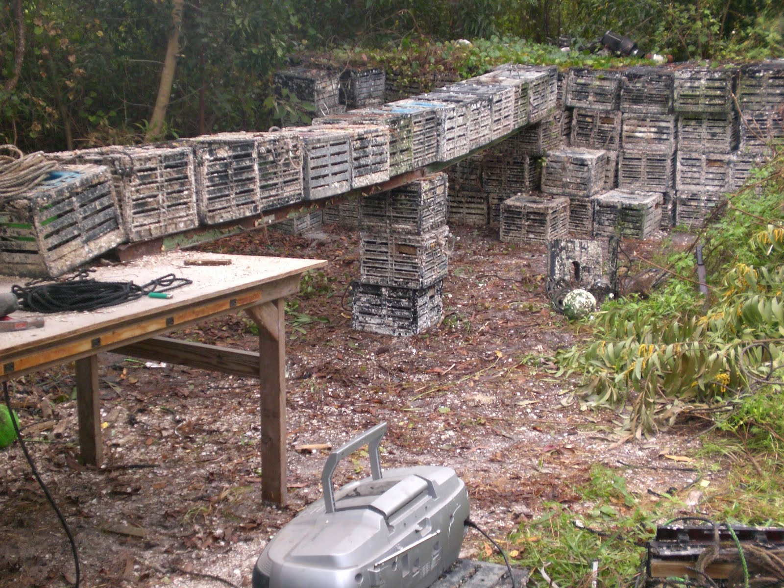 Bailey's crab lot Naples, Fl.