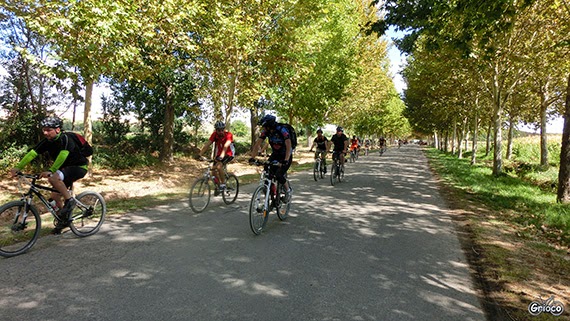 Ruta MTB de Madrid a Aranjuez. Sábado 4 de abril 2015 ¿Te apuntas?