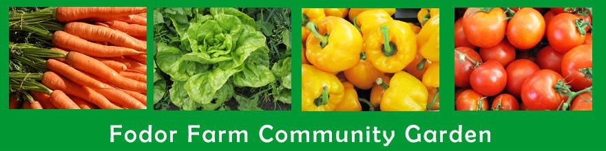 Fodor Farm Community Garden