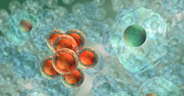 Magnetic Nanobot Travel in Cells
