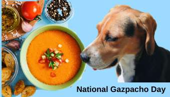 National Gazpacho Day Wishes for Instagram