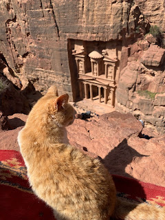 cat; Petra; treasury