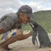Penguin Ini Rela Tempuh 8.000 km Untuk Menemui Penolongnya