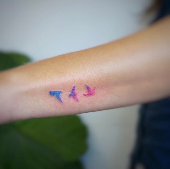 estes_gradiente_de_aves