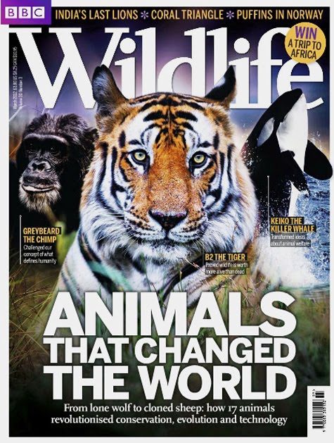 BBC Wildlife Endangered Species Cover