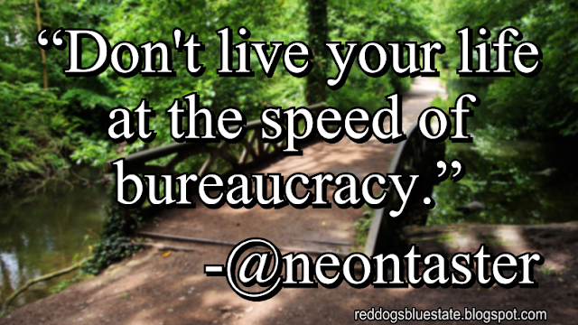 “Don't live your life at the speed of bureaucracy.” -@neontaster