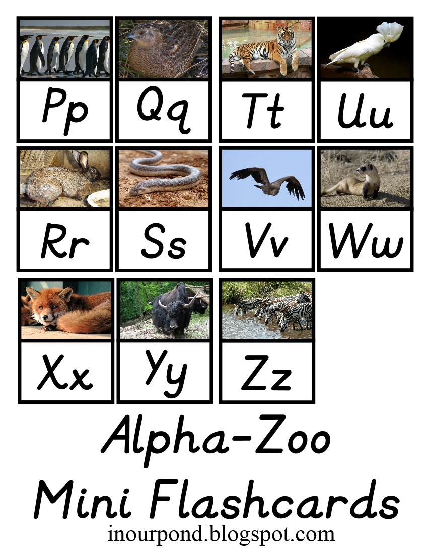 alpha zoo phonics chart