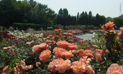 20140531_134651