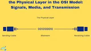 the Physical Layer in the OSI Model: Signals, Media, and Transmission