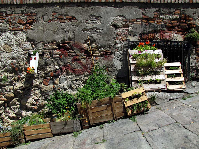 Fattoria urbana, scali del Refugio, Livotno