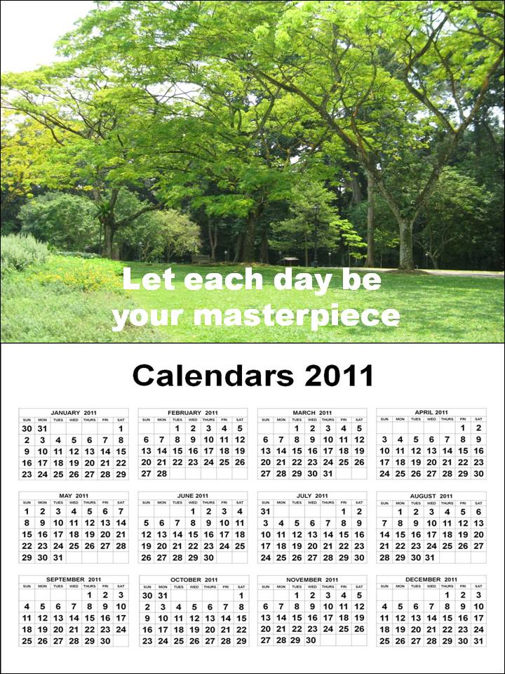 2011 Calendar from January