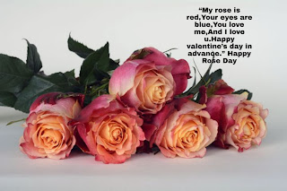 happy rose day my love