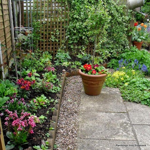 newly planted border