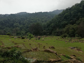 Lamasooriya Valley