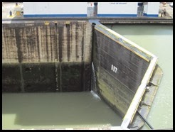 IMG_4661