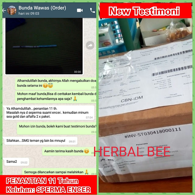 Testimoni Herbal Bee