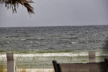 IMG_7889