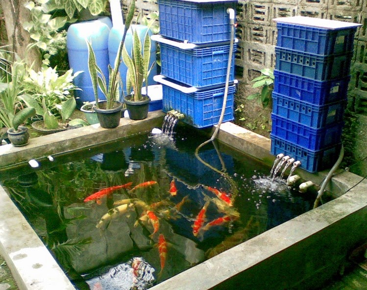 Indonesia Tourism: Cara Membuat Kolam Koi Outdoor Tetap Jernih