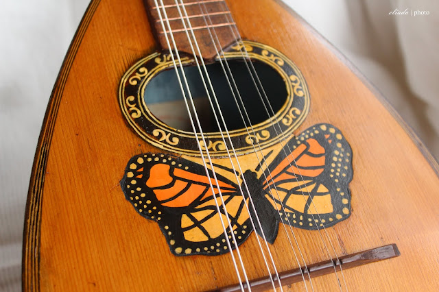 Old mandolin restoration