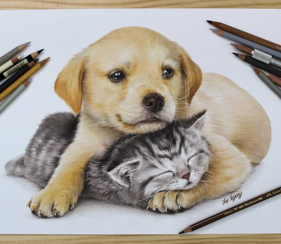 01-Puppy-and-a-kitten-Animal-Drawings-Jae-Kyung-www-designstack-co