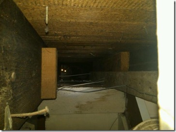Move cat hole may 11