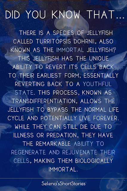 Did you know that there is a species of jellyfish called Turritopsis dohrnii, also known as the immortal jellyfish? This jellyfish has the unique ability to revert its cells back to their earliest form, essentially reverting back to a youthful state. This process, known as transdifferentiation, allows the jellyfish to bypass the normal life cycle and potentially live forever. While they can still die due to illness or predation, they have the remarkable ability to regenerate and rejuvenate their cells, making them biologically immortal.